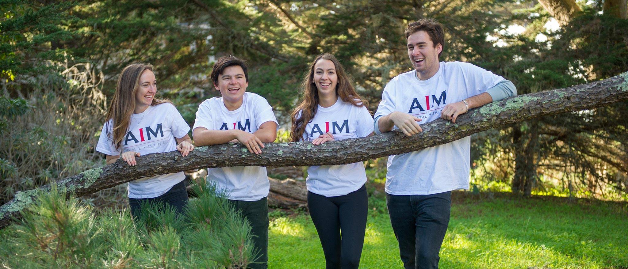 AIM Ways to Give Header